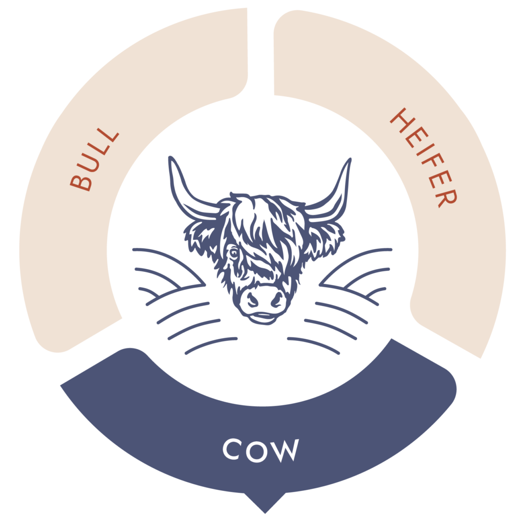 Cow Chart