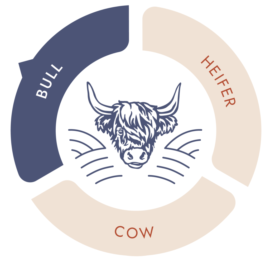 Bull Chart