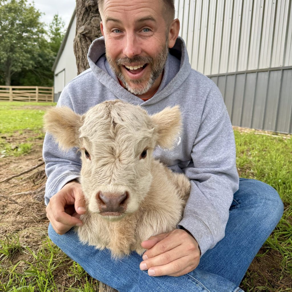 Adam with Queenie's Highland bull calf at Fluffy Feather Farm