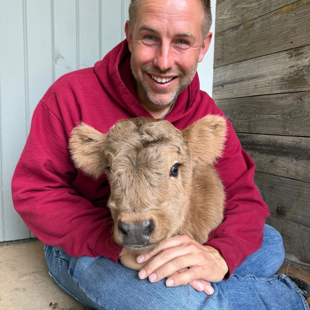 MILEY'S BABY BOY, bull calf Miniature Highland Cattle, Fluffy Feather Farm